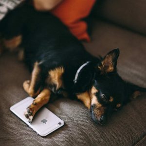 Image with title, description & video